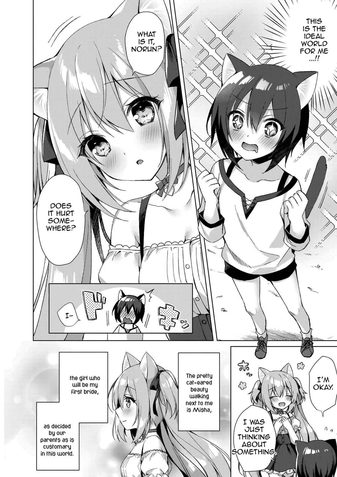 Boku no Risou no Isekai Seikatsu ~Perfected Fan Edition~ Chapter 1: Reincarnated...? - Page 19