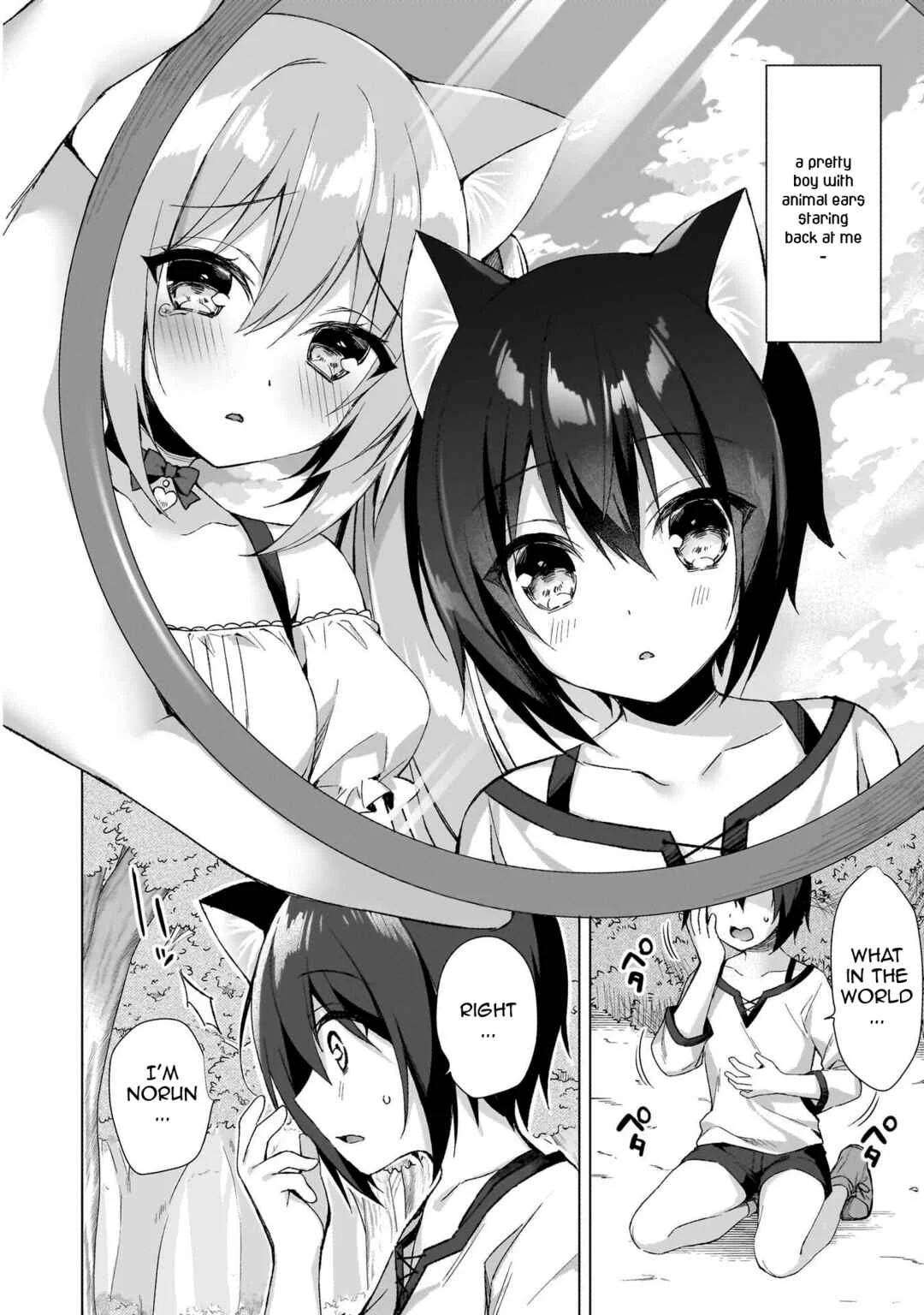 Boku no Risou no Isekai Seikatsu - Tensei shitara Kemomimi Musume darake no Sekai de Harem ni Chapter 1: Where I've Reincarnated... - Page 13