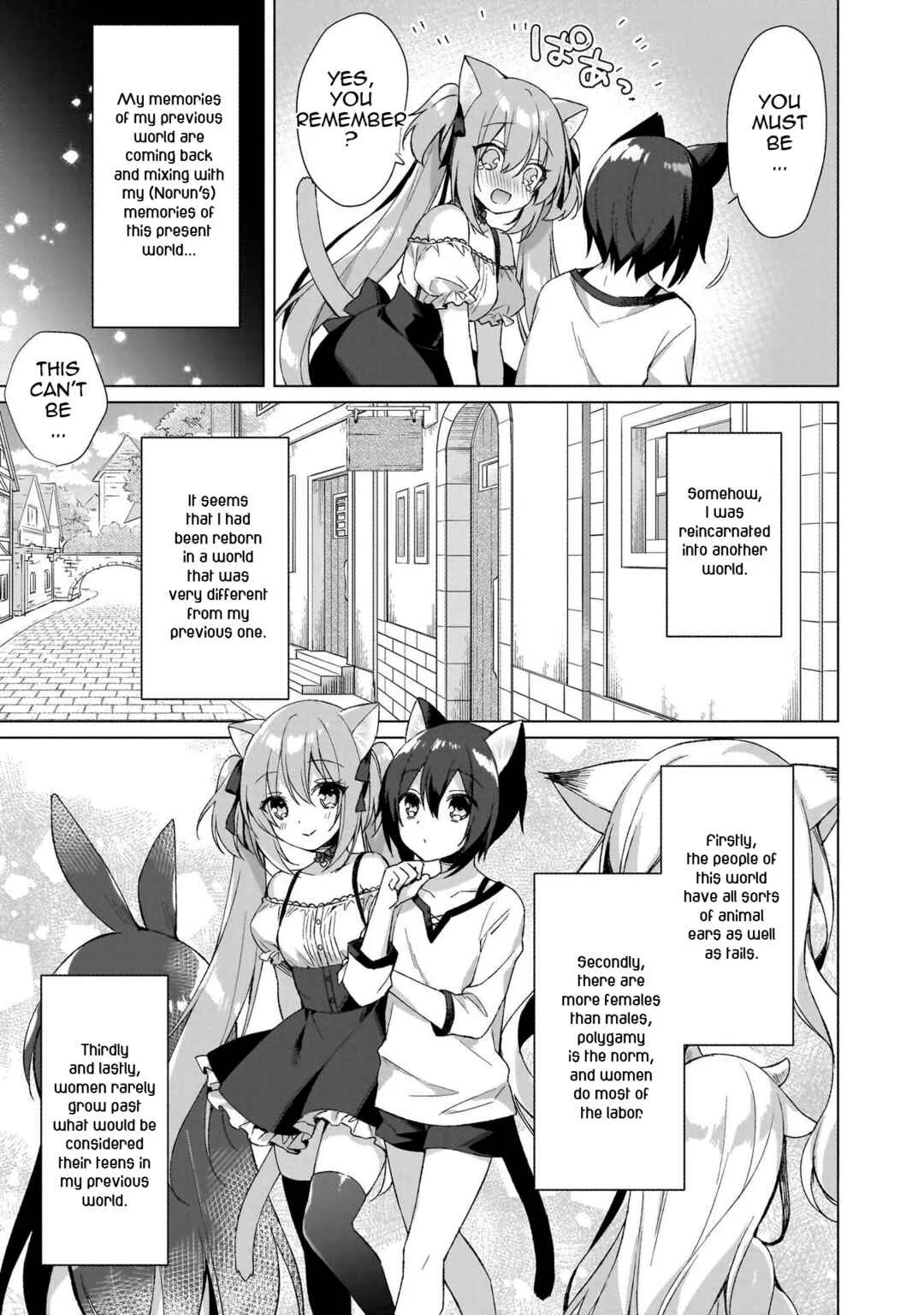 Boku no Risou no Isekai Seikatsu - Tensei shitara Kemomimi Musume darake no Sekai de Harem ni Chapter 1: Where I've Reincarnated... - Page 14