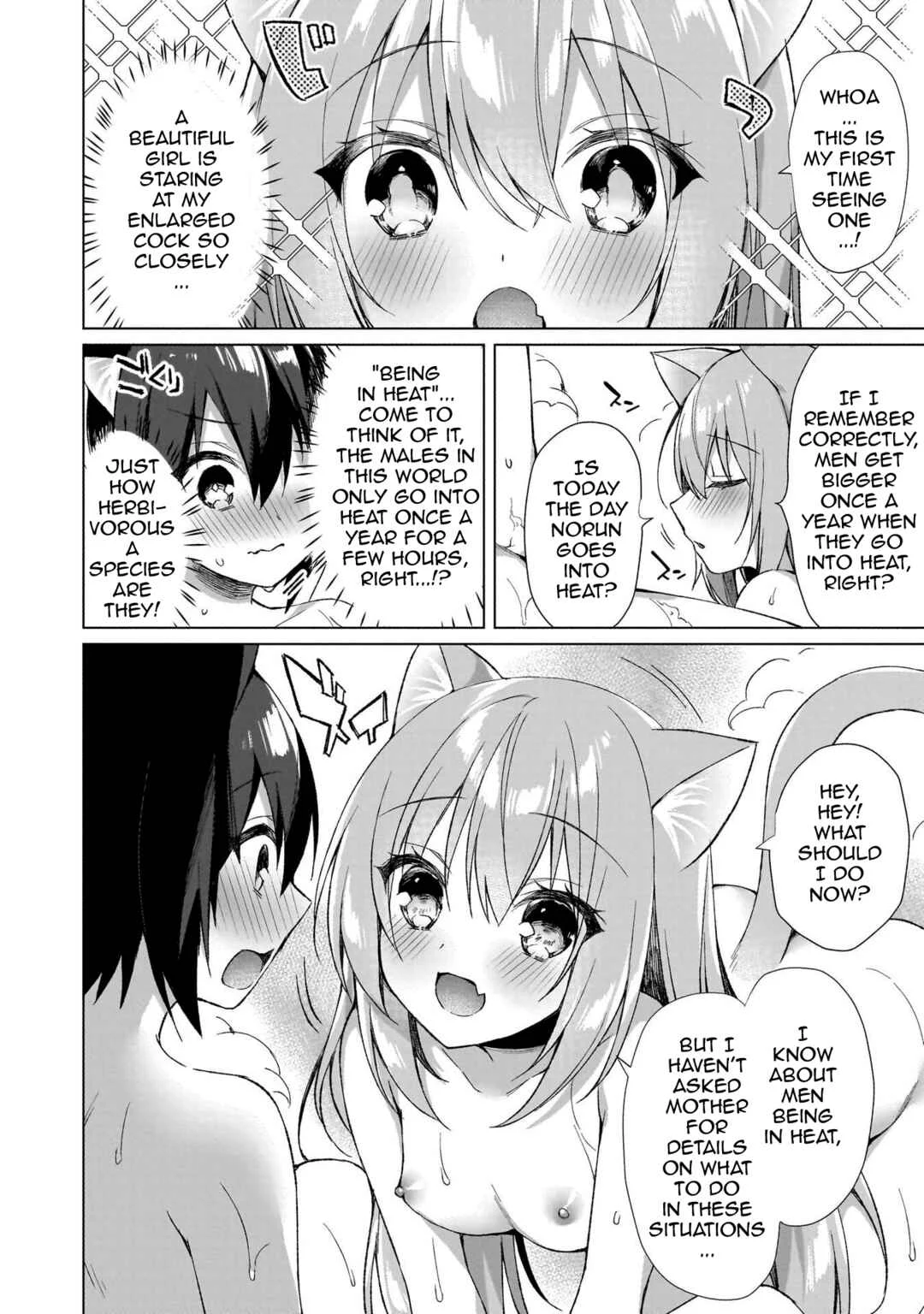 Boku no Risou no Isekai Seikatsu - Tensei shitara Kemomimi Musume darake no Sekai de Harem ni Chapter 1: Where I've Reincarnated... - Page 27