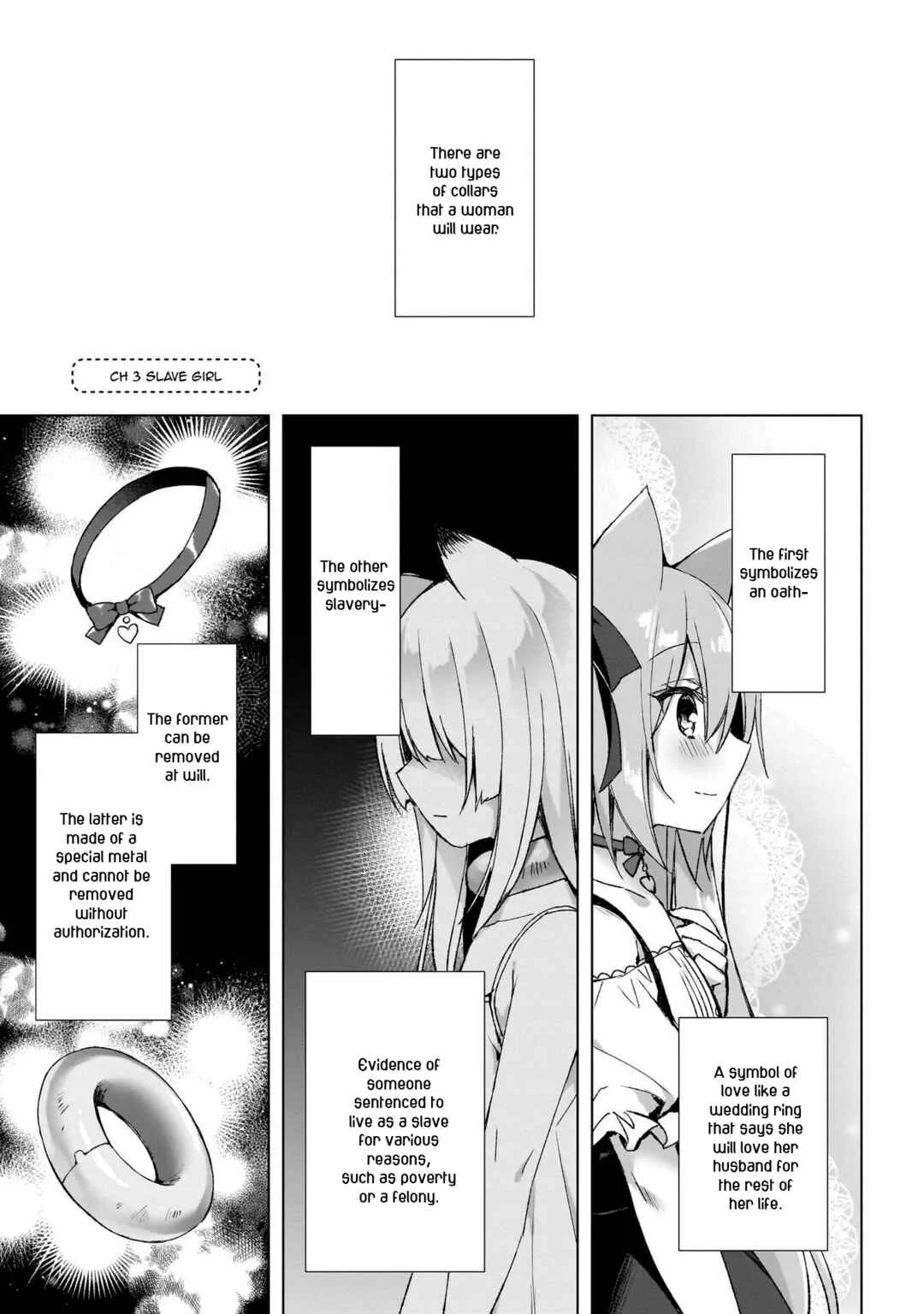 Boku no Risou no Isekai Seikatsu - Tensei shitara Kemomimi Musume darake no Sekai de Harem ni Chapter 3: Slave Girl - Page 1