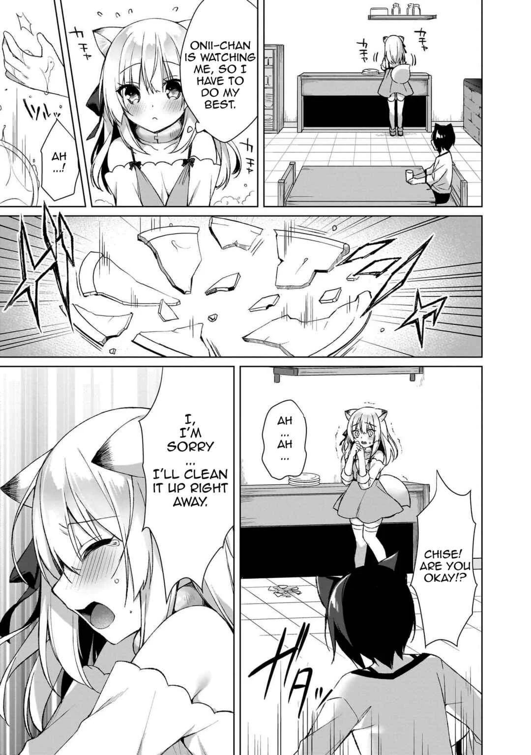 Boku no Risou no Isekai Seikatsu - Tensei shitara Kemomimi Musume darake no Sekai de Harem ni Chapter 3: Slave Girl - Page 17