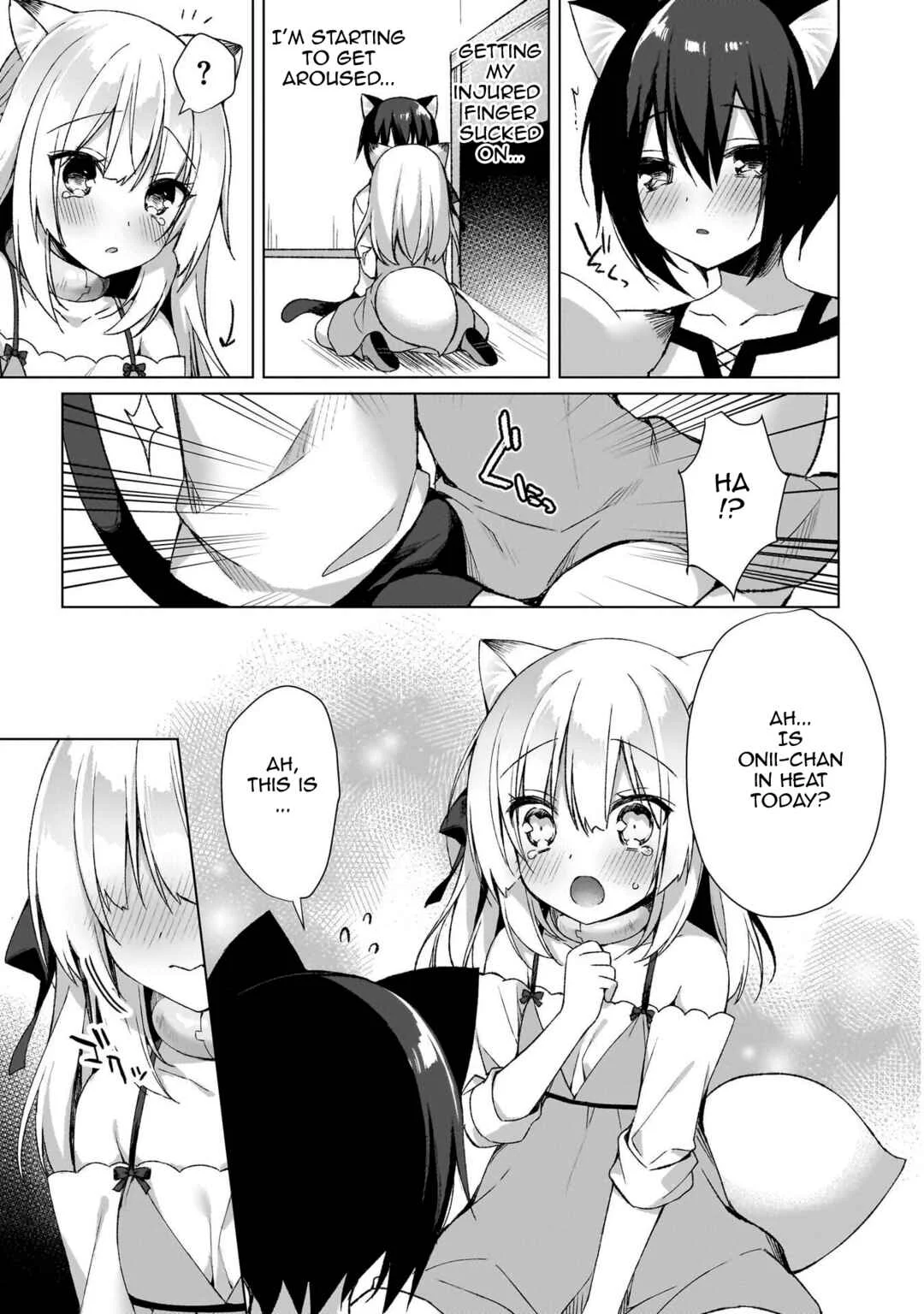 Boku no Risou no Isekai Seikatsu - Tensei shitara Kemomimi Musume darake no Sekai de Harem ni Chapter 3: Slave Girl - Page 19
