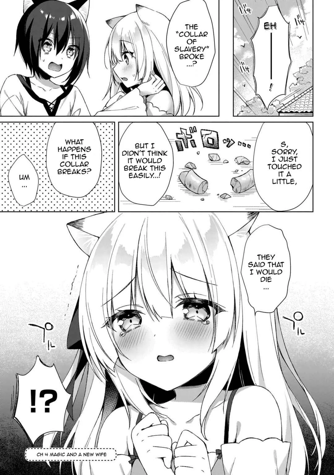 Boku no Risou no Isekai Seikatsu - Tensei shitara Kemomimi Musume darake no Sekai de Harem ni Chapter 4: Magic and a New Wife - Page 1