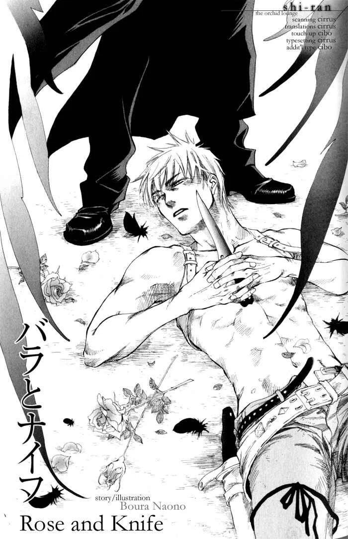Dakishimetakunai Chapter 5: Rose and Knife - Page 2