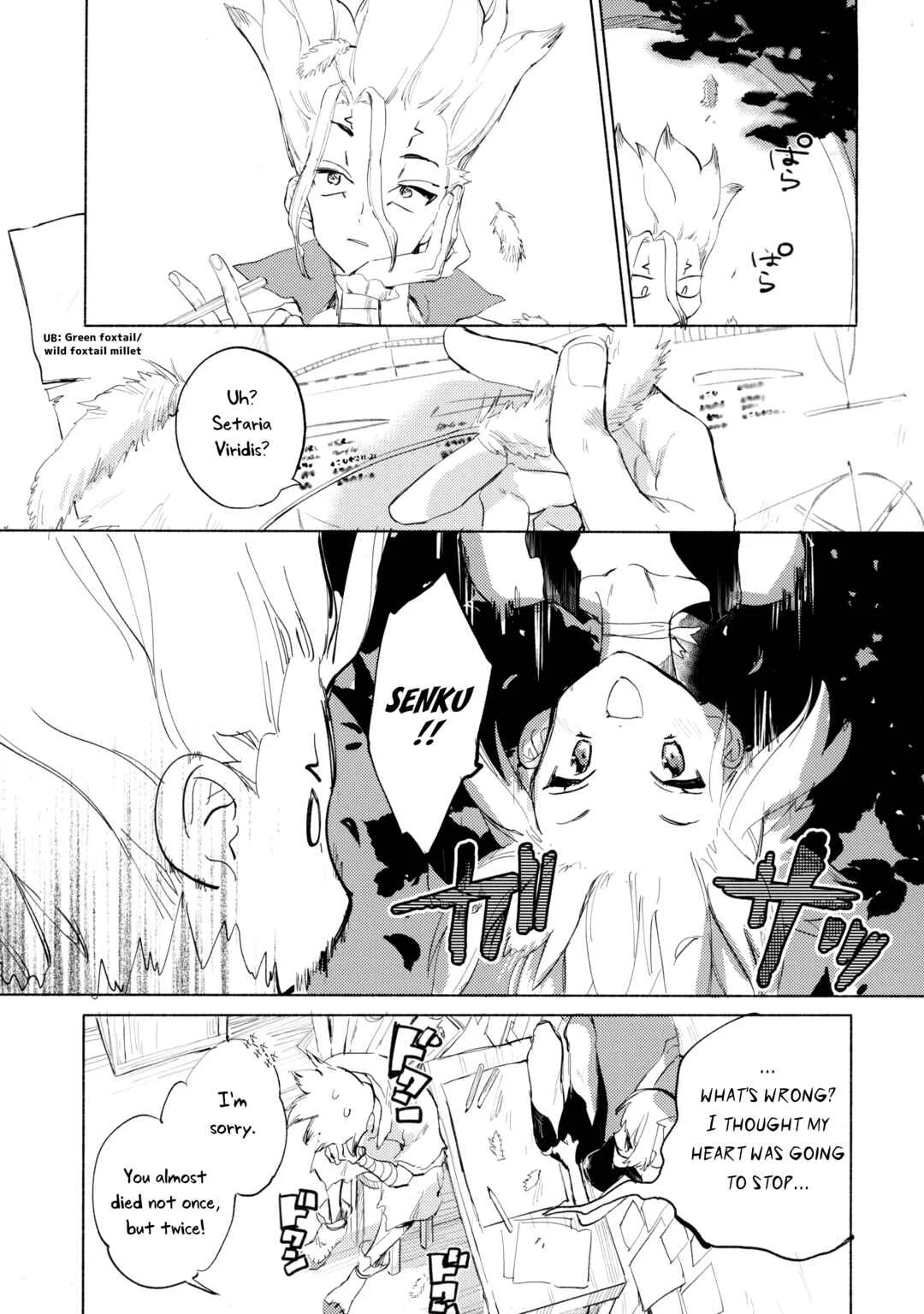 Dr.STONE - Sekki Sekai de Mabushii Natsu (Doujinshi) Chapter 1 - Page 18