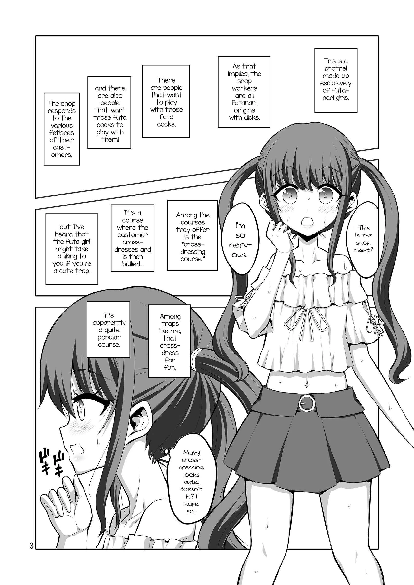 Futanari Onee-san x Otokonoko Gyaku Anal Fuuzoku Mesu Ochi Choukyou Chapter 1: Oneshot - Page 3