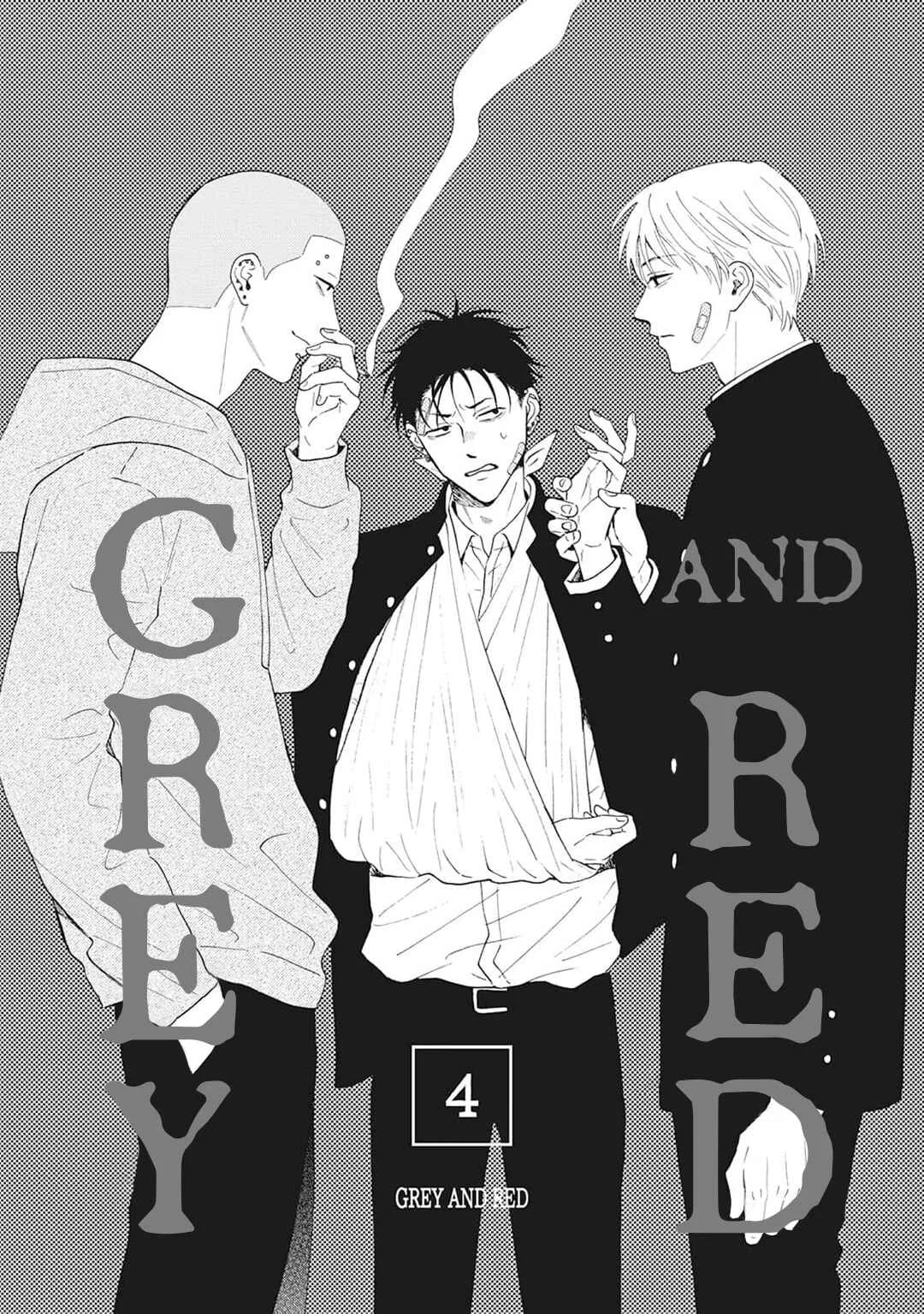 Grey and Red Chapter 4 - Page 2