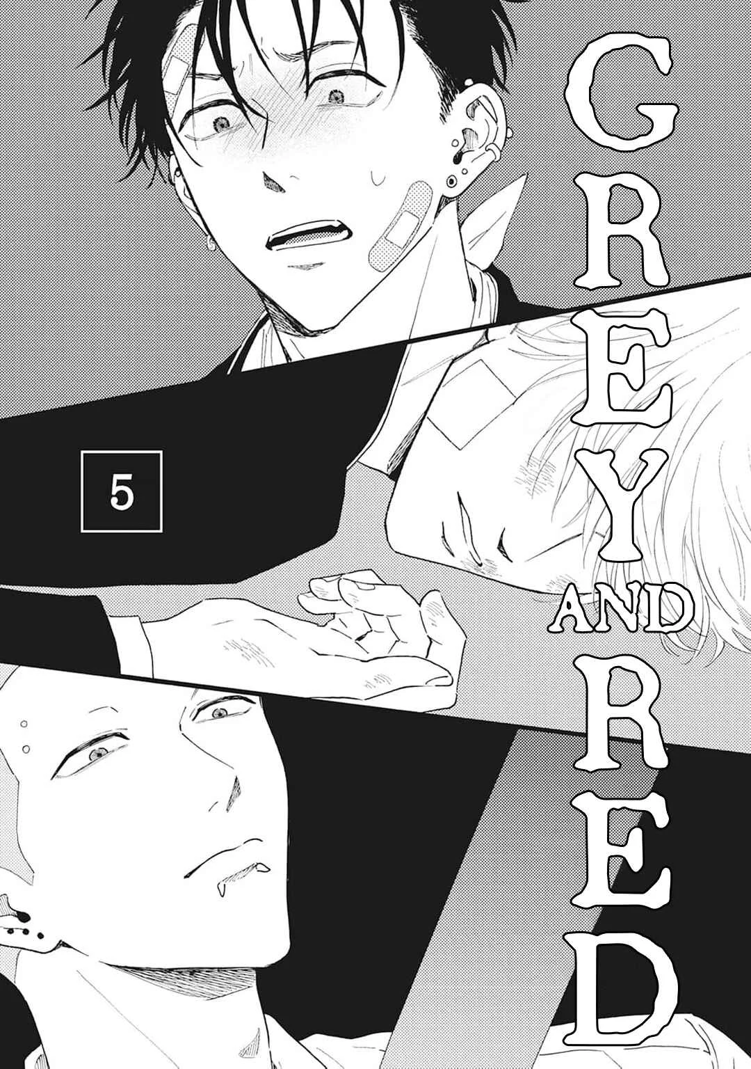 Grey and Red Chapter 5 - Page 2
