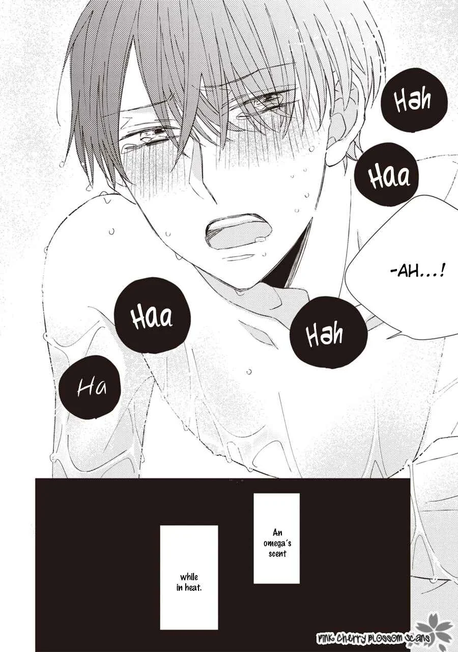 Kimi wa Alpha Chapter 1 - Page 41