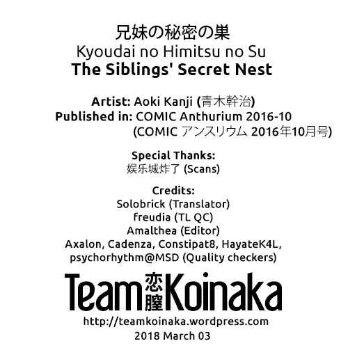 Kyoudai no Himitsu no Su Chapter 1: Oneshot - Page 19