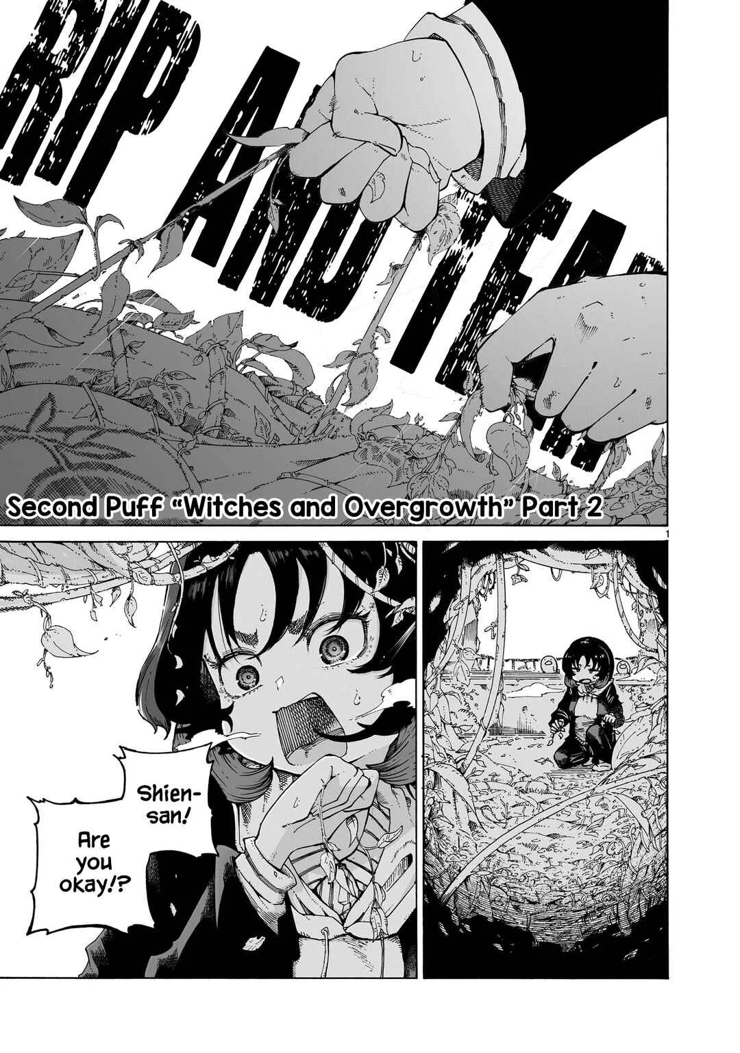 Majo to Kyurasu Chapter 2: Second Puff "Witches and Overgrowth" - Page 15