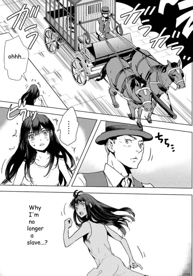 Moto Dorei Desu ga, Oni no Dorei wo Katte Mitara Seiryoku ga Tsuyosugiru node Sutetai... Chapter 1 - Page 17