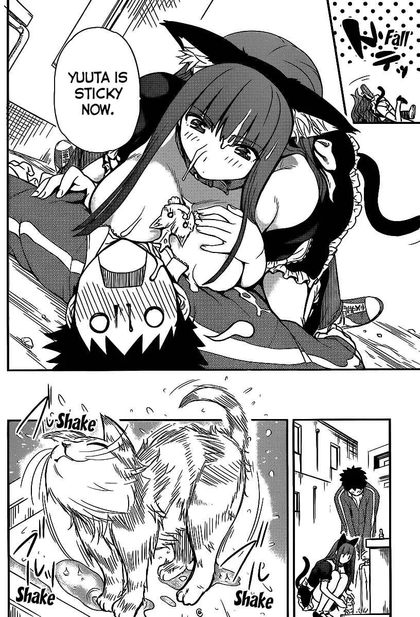 Papa no Iukoto wo Kikinasai! - Rojou Kansatsu Kenkyuu Nisshi Chapter 4: Kitten panic! - Page 11