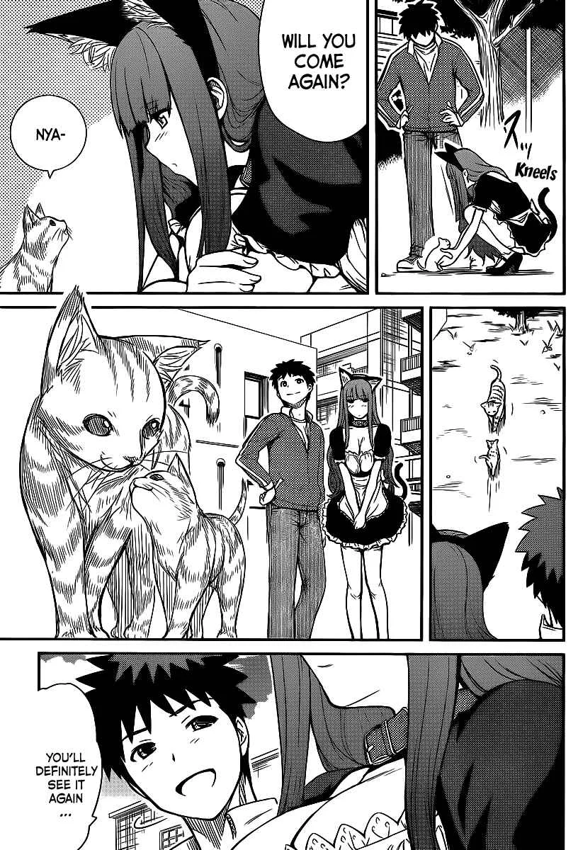 Papa no Iukoto wo Kikinasai! - Rojou Kansatsu Kenkyuu Nisshi Chapter 4: Kitten panic! - Page 16