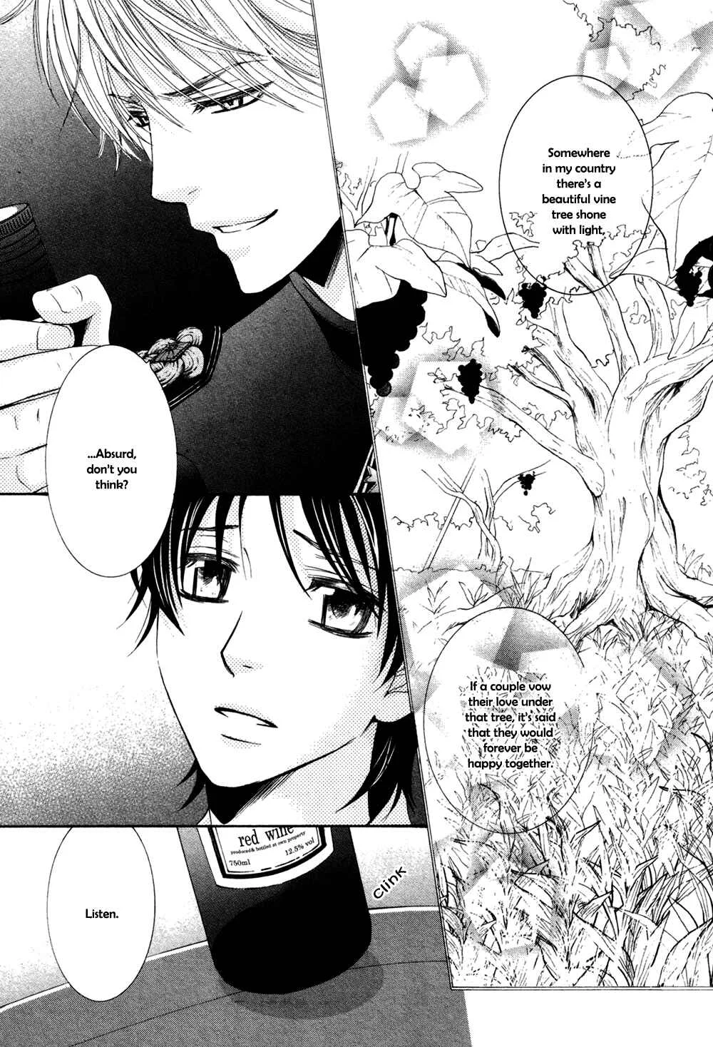 Royal Fiance –Kuro no Ouji– Chapter 2: Montre - Page 14