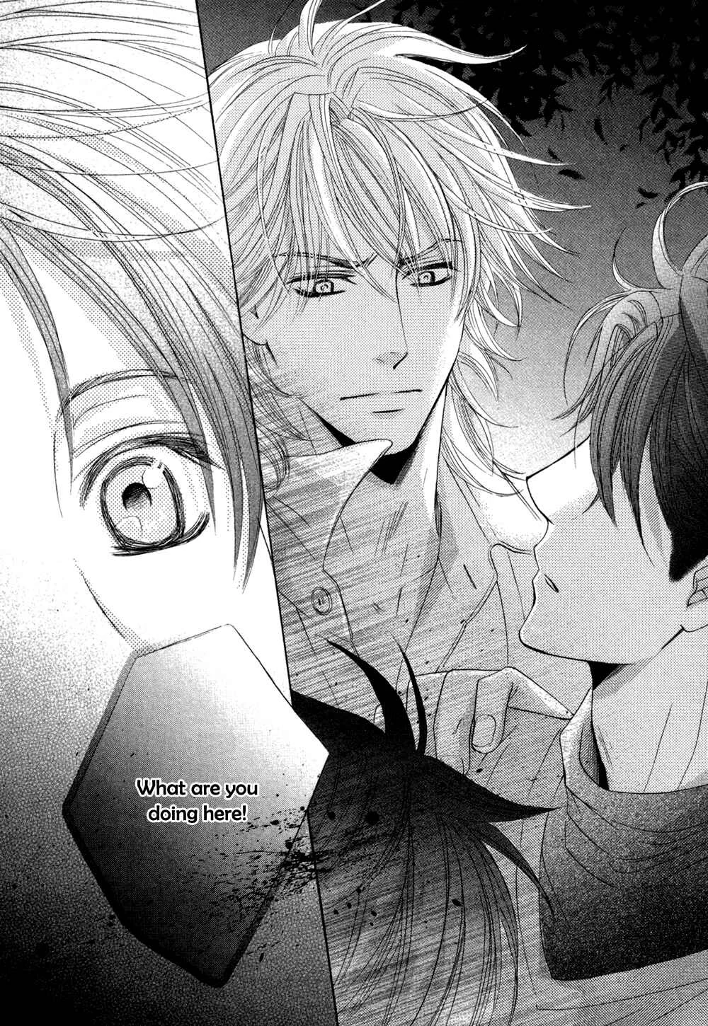 Royal Fiance –Kuro no Ouji– Chapter 2: Montre - Page 23
