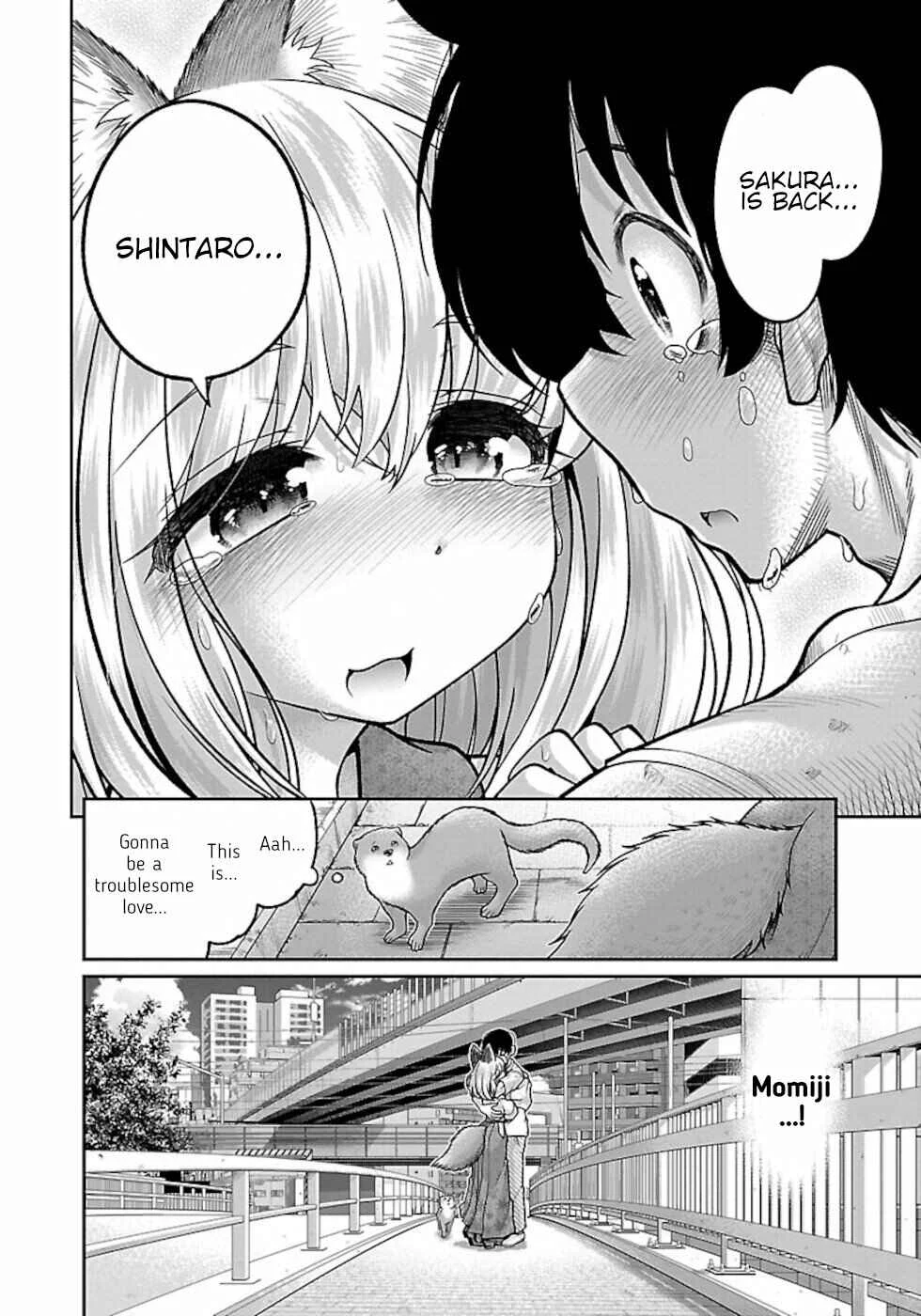 Usotsuki Kitsune no Koi Hanashi Chapter 1: Sakura And Momiji - Page 36