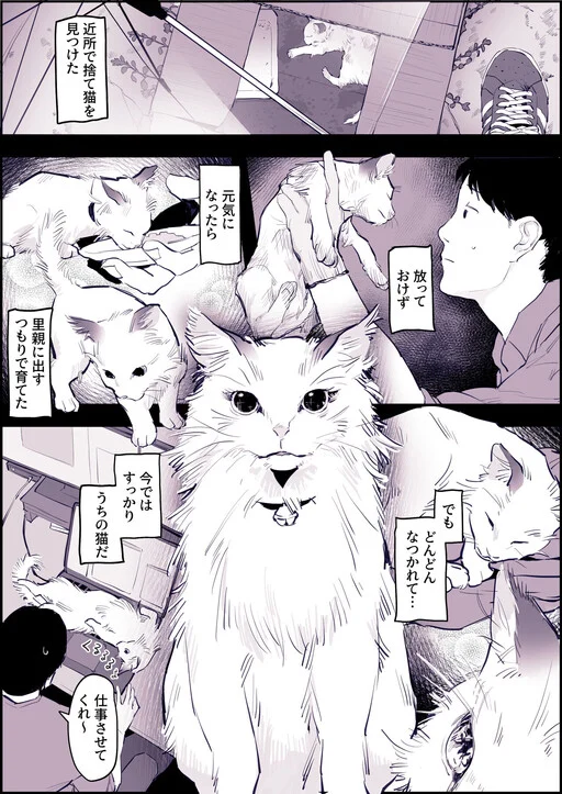 Neko