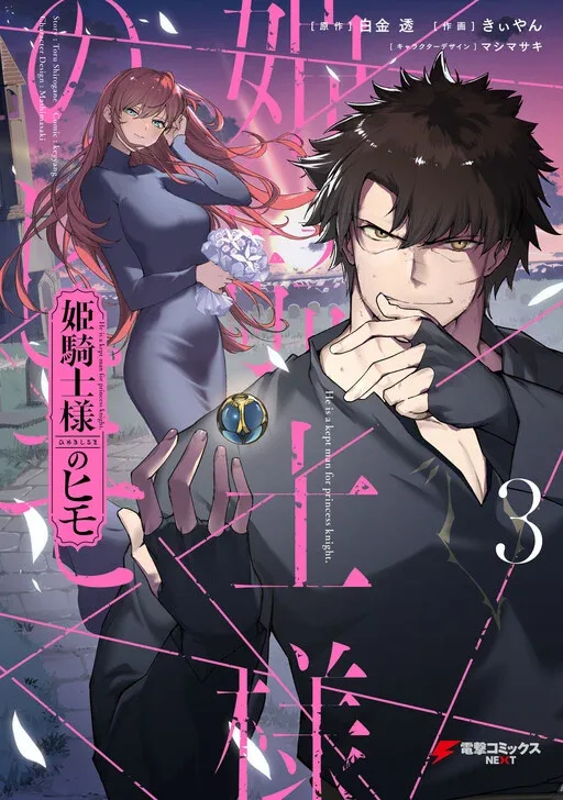 The Kept Man of the Princess Knight