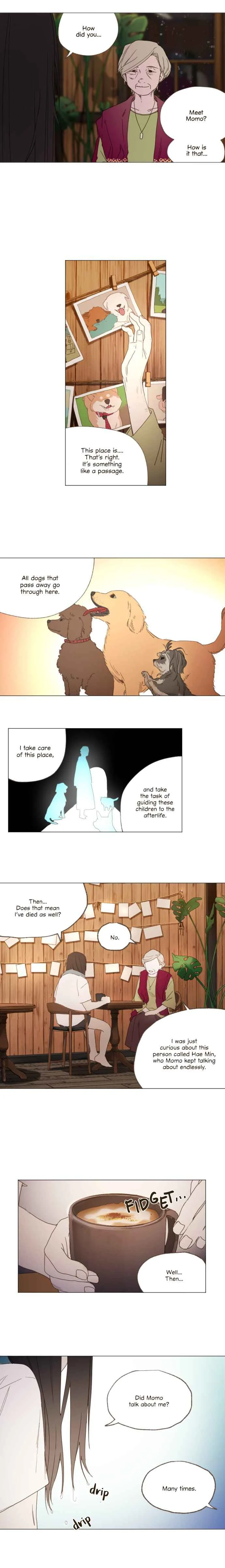 2019 Rookie Danpyeonseon: Jiok Camp Chapter 1: Momo - Page 9