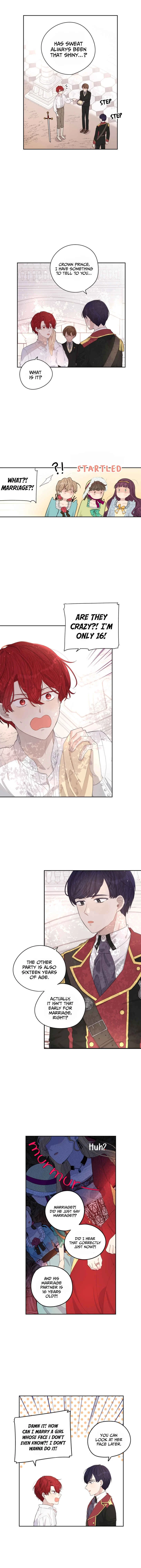A Royal Princess With Black Hair Chapter 1 - Page 3