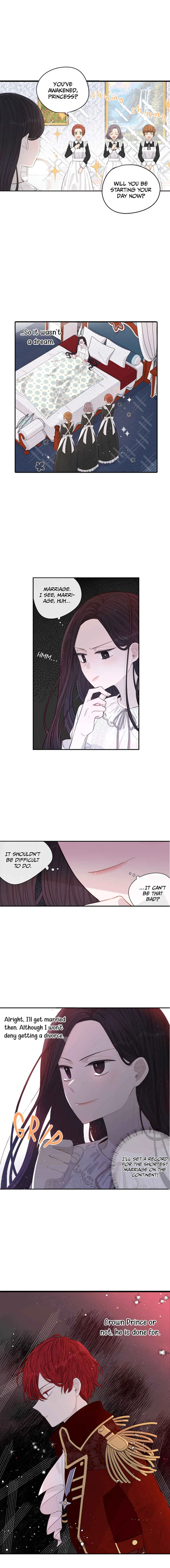 A Royal Princess With Black Hair Chapter 2 - Page 3