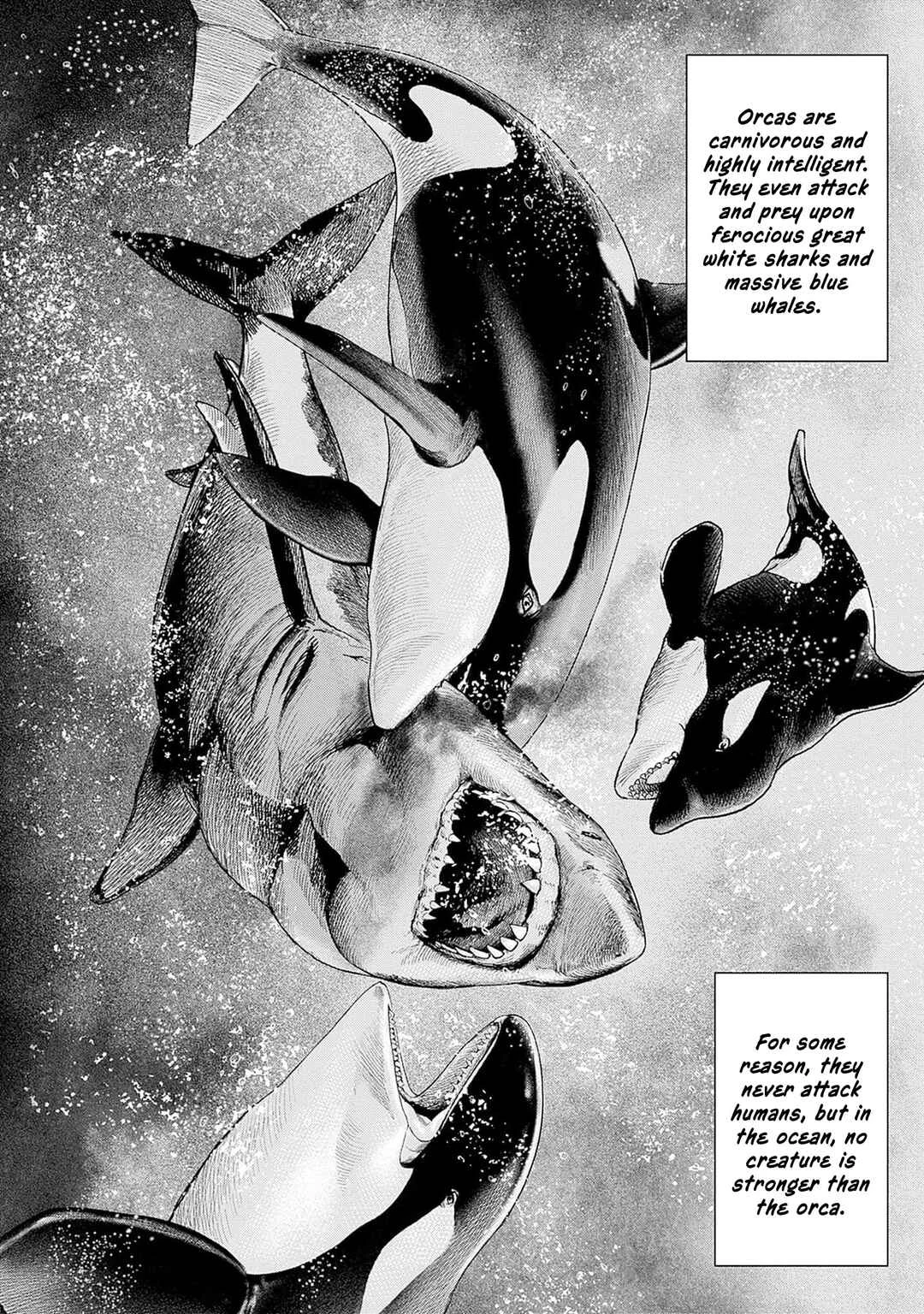 Ahab Chapter 2: The Absolute Ruler. - Page 44