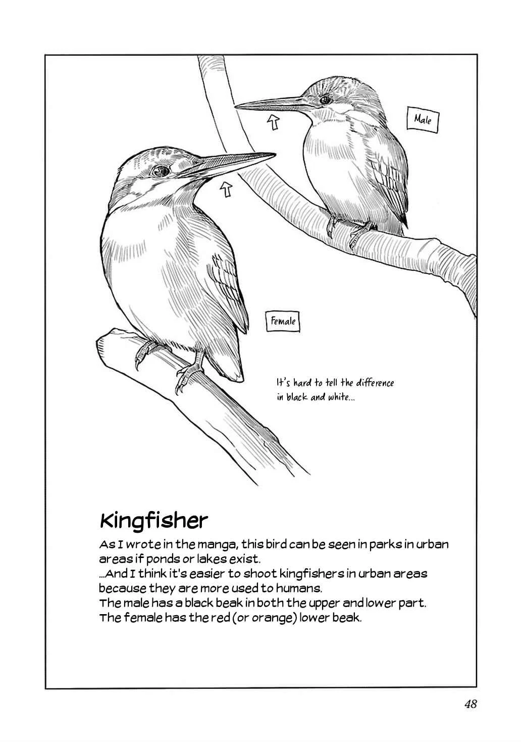 Akiyama-san no Tori Life Chapter 2: Let's Go See The Kingfisher! - Page 22