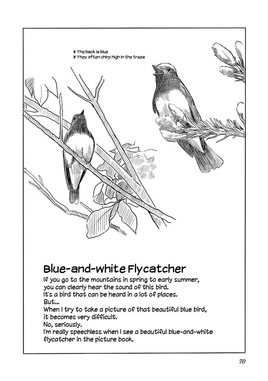Akiyama-san no Tori Life Chapter 3: Let's Go See The Flycatcher! - Page 22