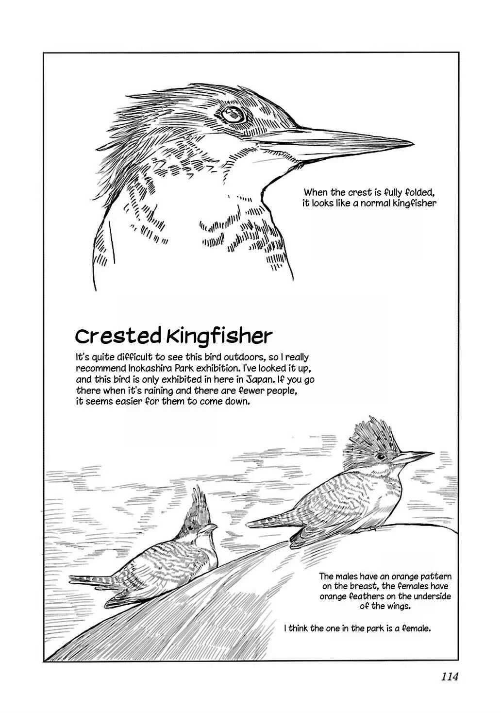 Akiyama-san no Tori Life Chapter 5: Birdwatching on A Rainy Day - Page 22