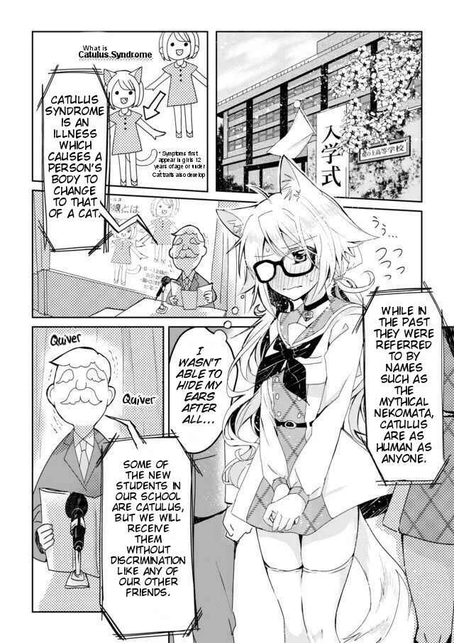 Catulus Syndrome Chapter 1: Catulus Syndrome - Page 5