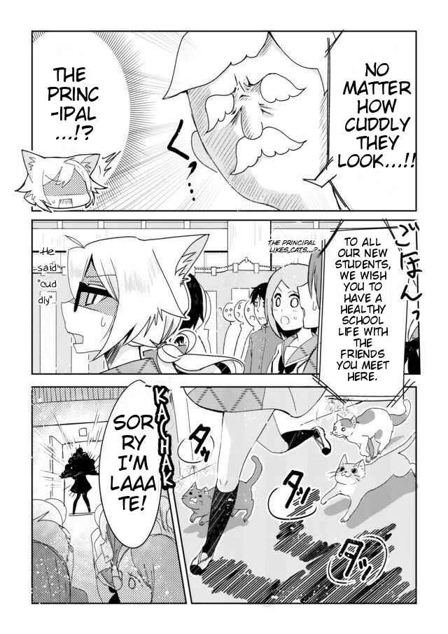 Catulus Syndrome Chapter 1: Catulus Syndrome - Page 6