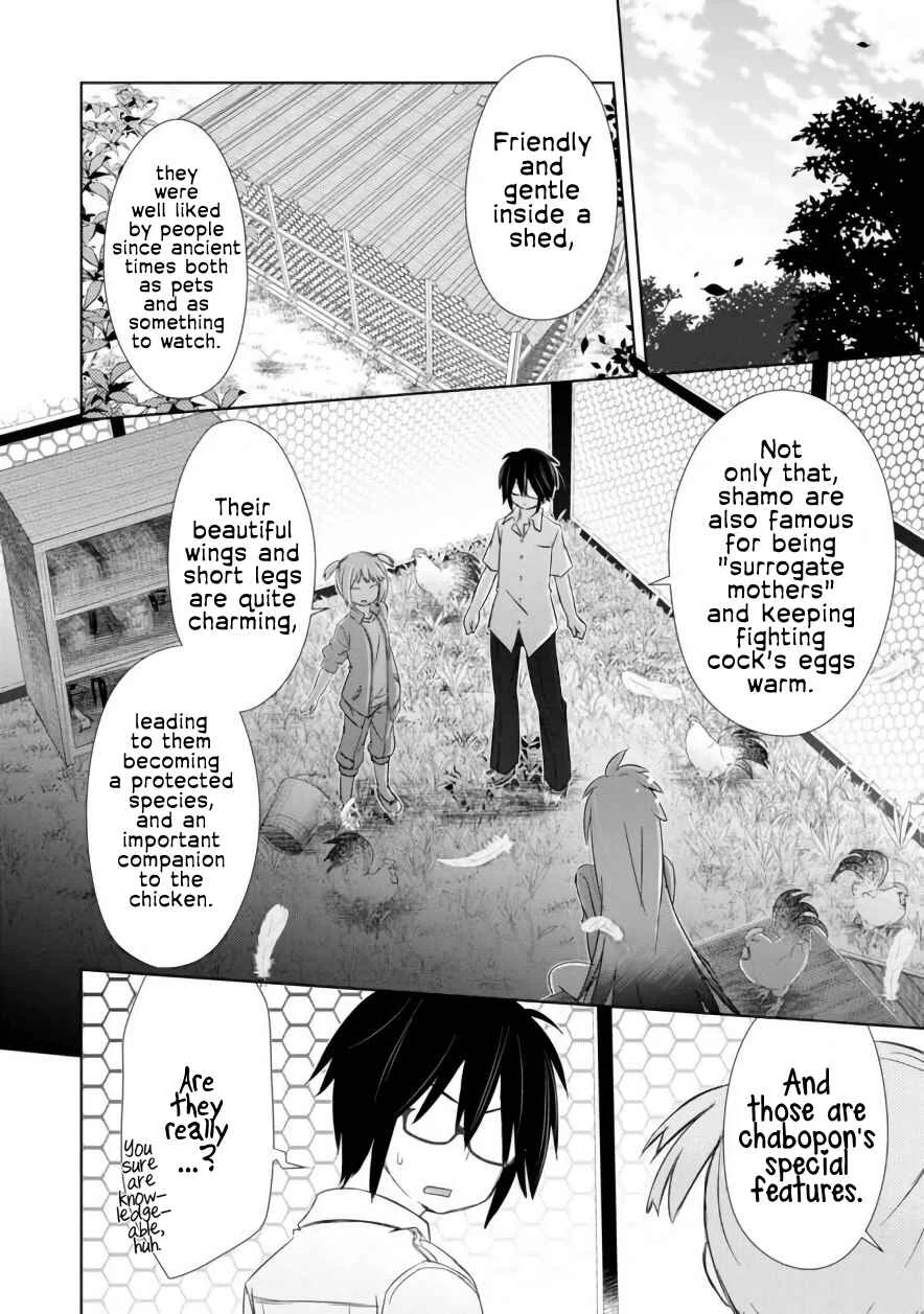 ChinChin KemoKemo Chapter 5: The Story About Senpai With Panties Falling From Above - Page 3