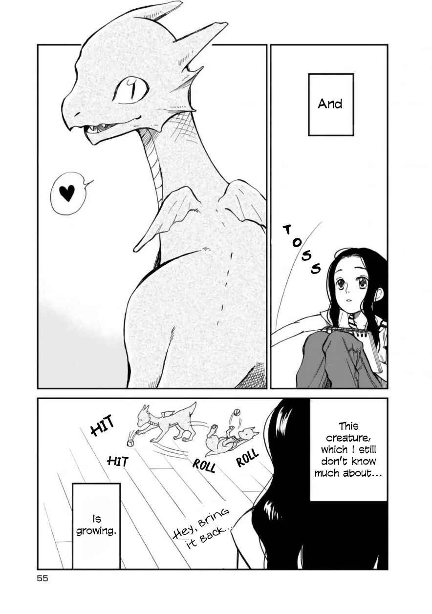 Daidokoro no Dragon Chapter 4: House Sitting - Page 5