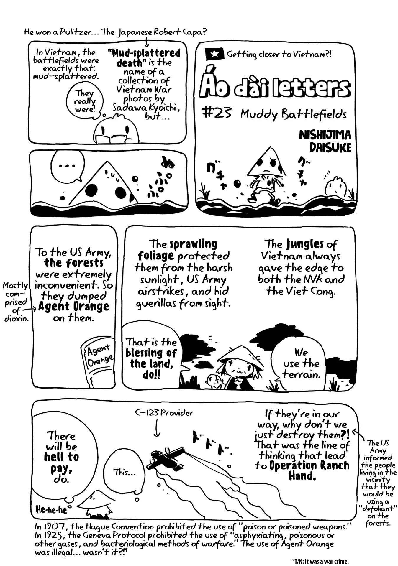 Dien Bien Phu Chapter 23: Echoes of Champa - Page 35