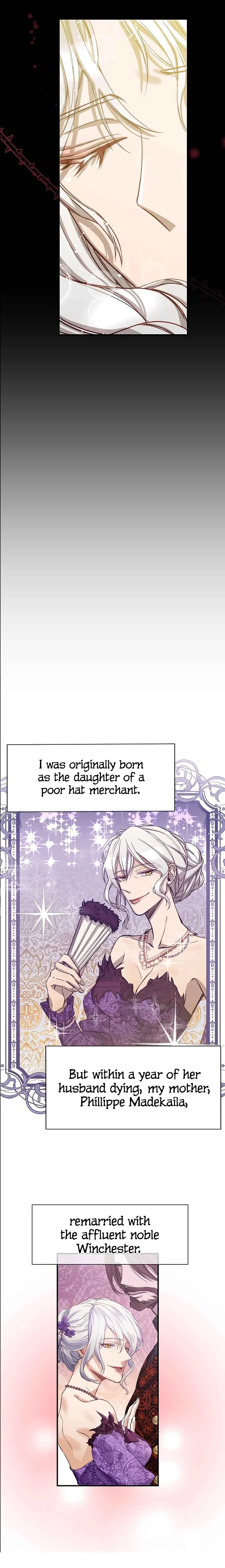 Don't Call Javotte an Evil Stepsister Chapter 1 - Page 2