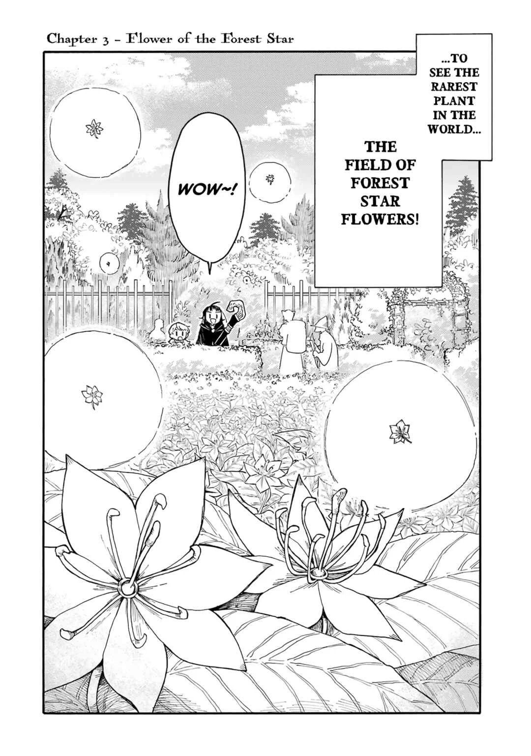 Endroll no Ato ni wa Saikou no Tabi o Chapter 3: Flower of the Forest Star - Page 2