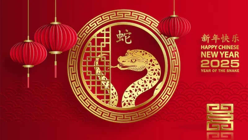 Fèng Àotiān Xiǎoshuō lǐ de Huángmáo Fǎnpài Yě Xiǎng Xìngfú Chapter 3: Unlock the Underground Black Market - Page 17