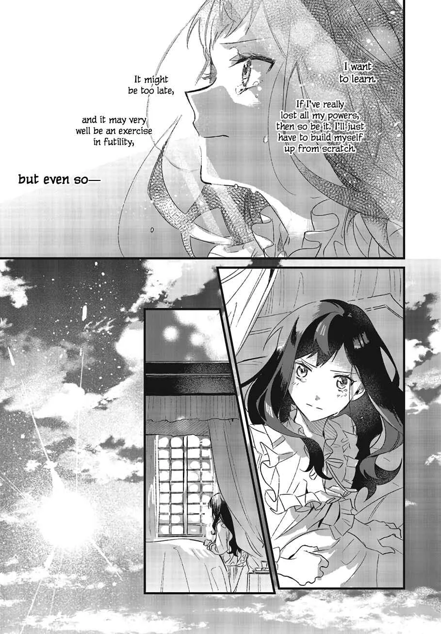 Gyakkou Shita Akuyaku Reijou wa, Naze ka Maryoku o Ushinattanode Shinsou no Reijou ni Narimasu Chapter 2 - Page 41