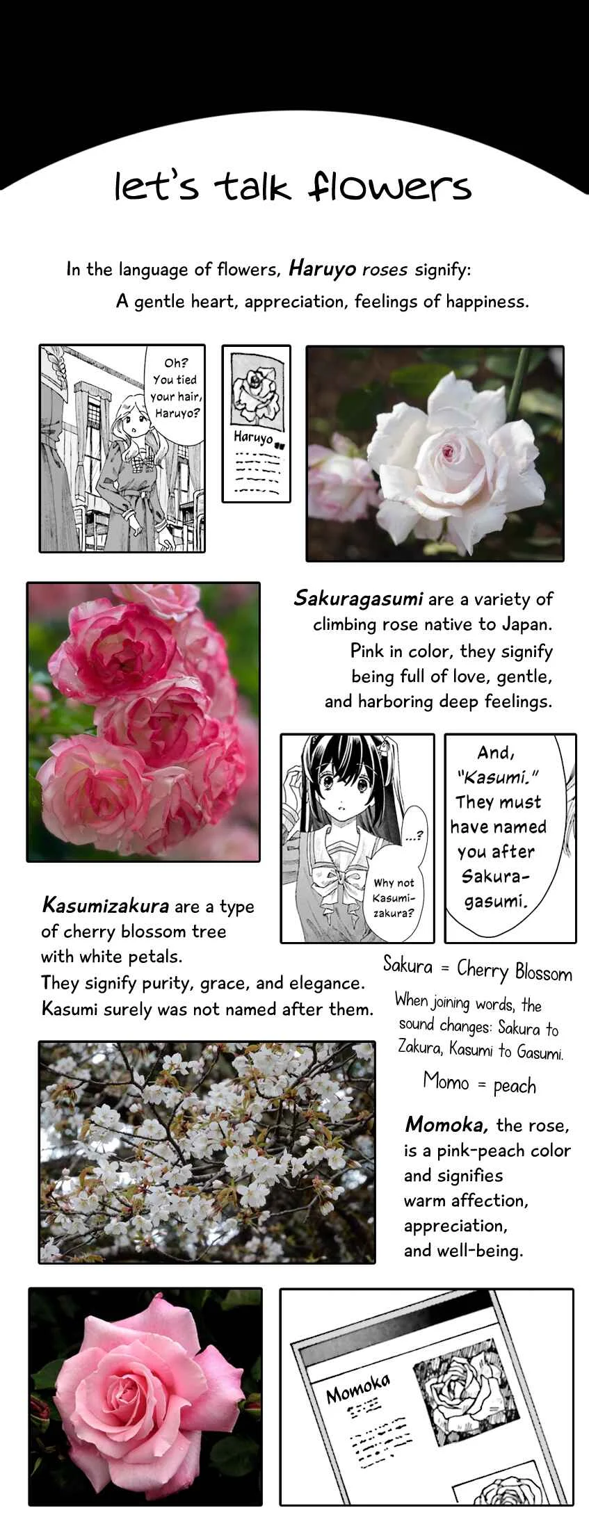 Haikei, Arishi Hi ni Saku Hanatachi e Chapter 2 - Page 36