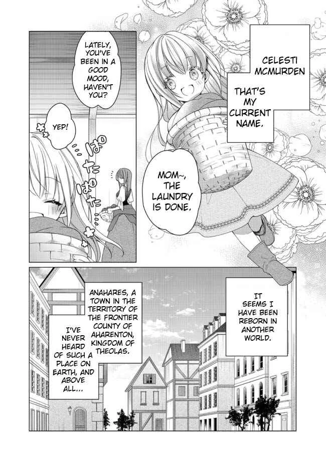 Heroine? Seijo? Iie, All-Works Maid desu (ko)! Chapter 1 - Page 24