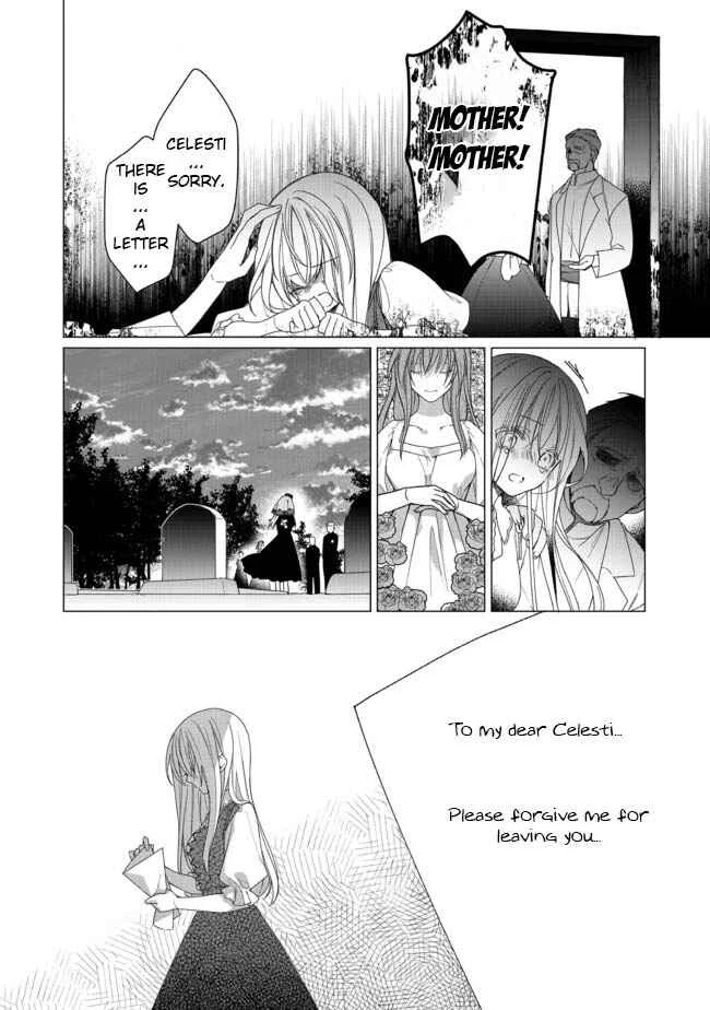 Heroine? Seijo? Iie, All-Works Maid desu (ko)! Chapter 1 - Page 26
