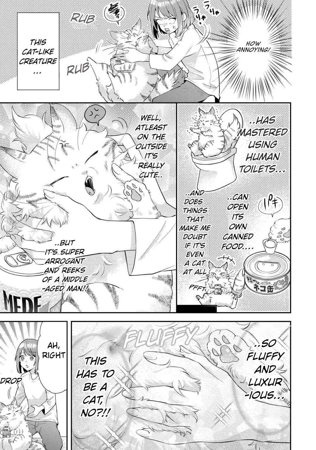 Hirotta no ga Hontou ni Neko ka wa Utagawashii Chapter 1: Episode 1 - Page 27