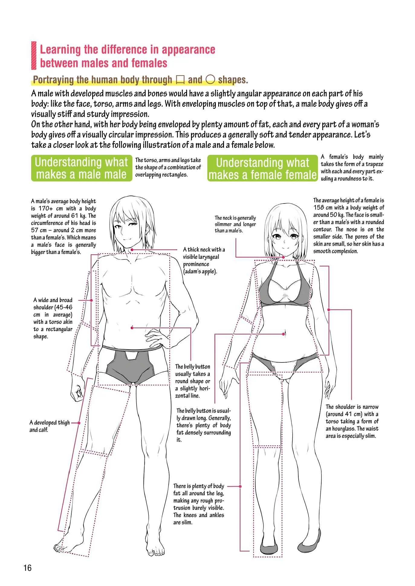 How to Draw a (Slightly) Sexy Girl Chapter 1: How To Draw a Girl that Makes You Want to Push Her Down - Page 4