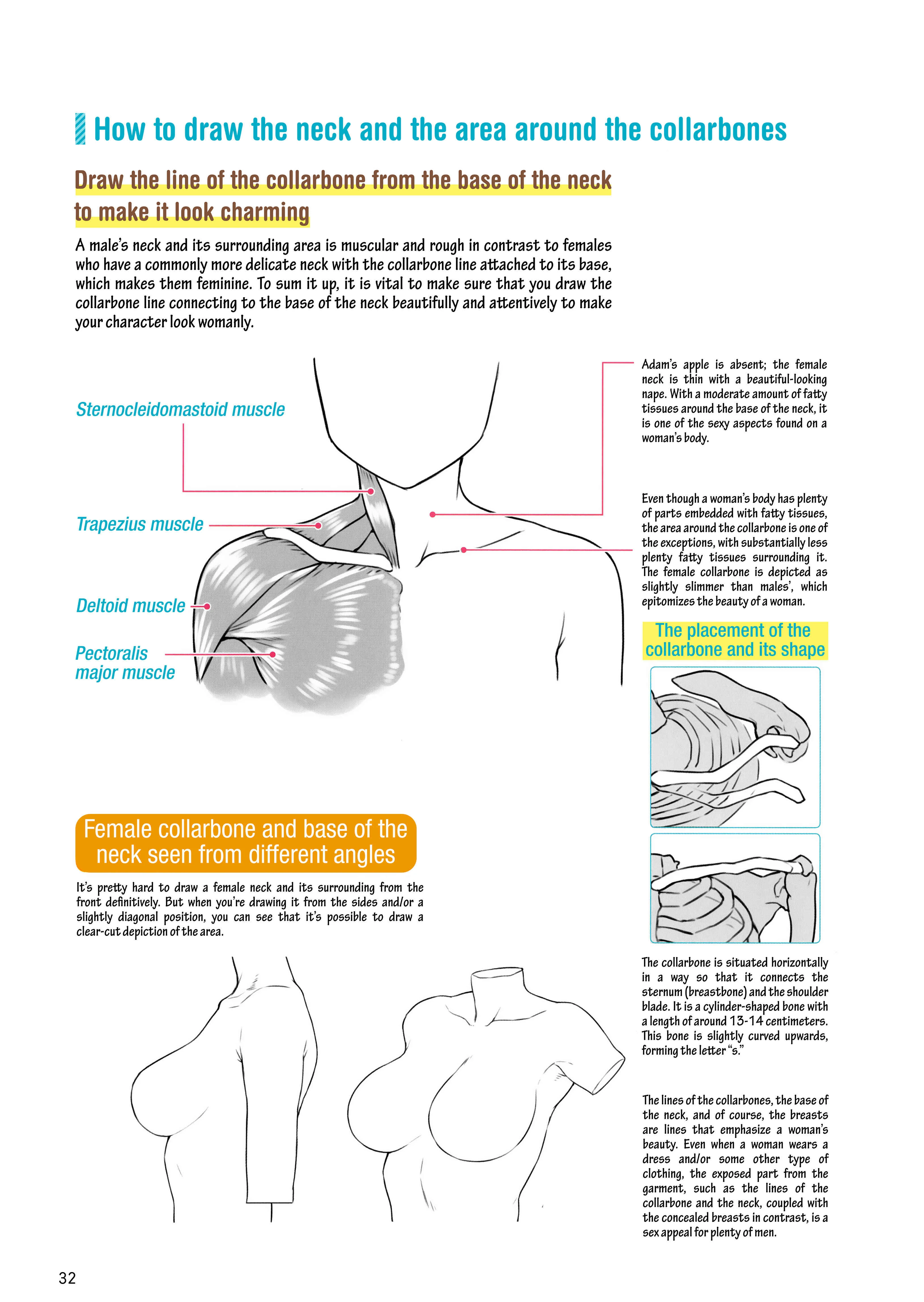 How to Draw a (Slightly) Sexy Girl Chapter 2: The Body Parts of A Girl. - Page 6