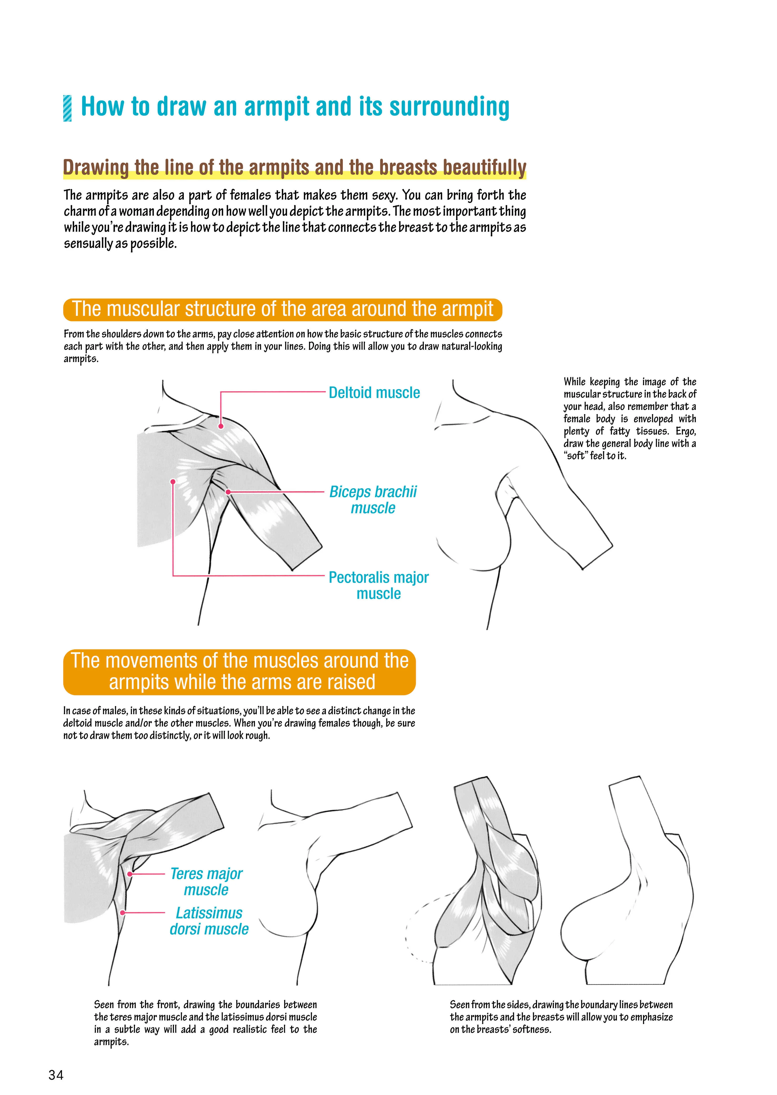 How to Draw a (Slightly) Sexy Girl Chapter 2: The Body Parts of A Girl. - Page 8