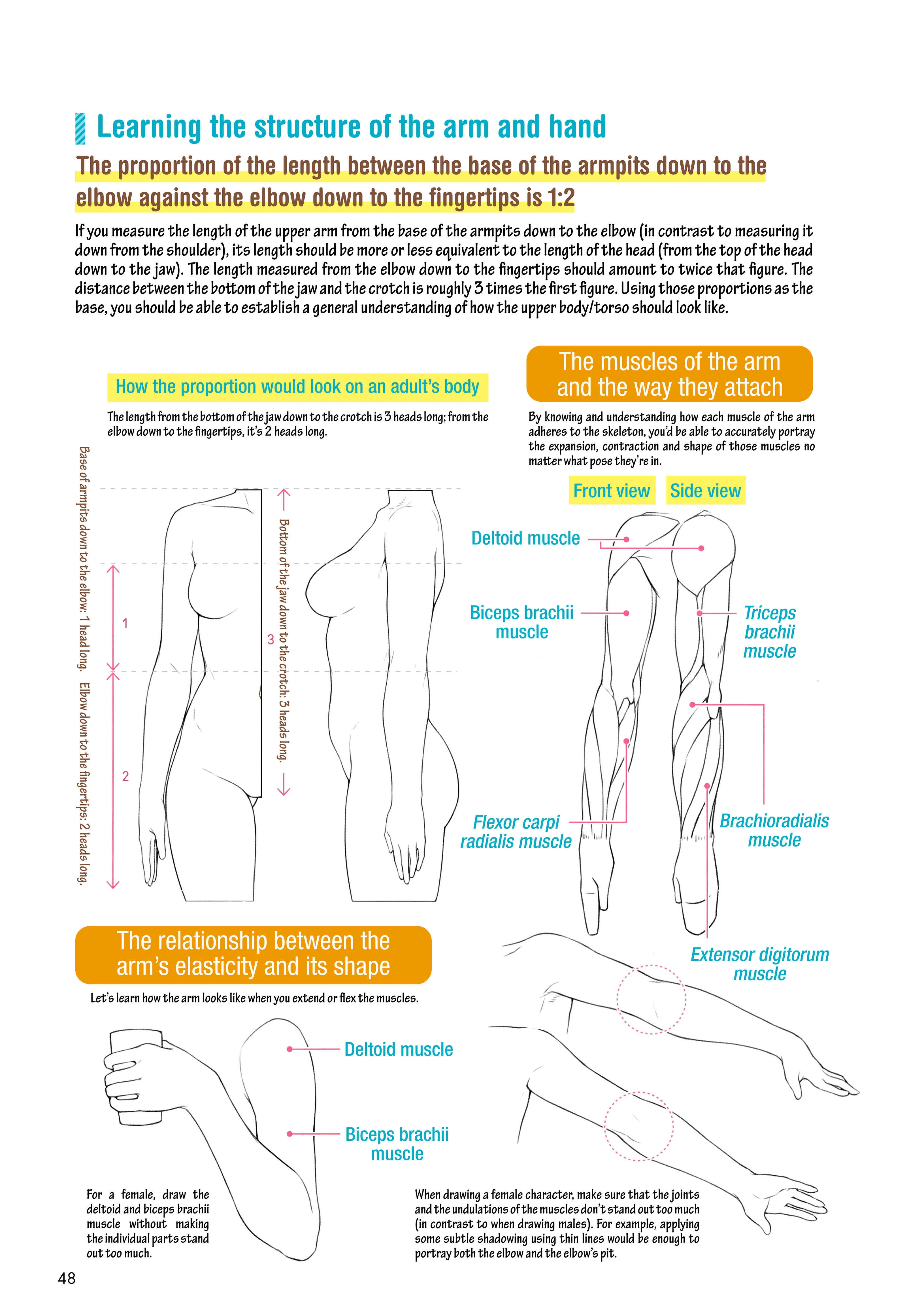 How to Draw a (Slightly) Sexy Girl Chapter 2: The Body Parts of A Girl. - Page 22
