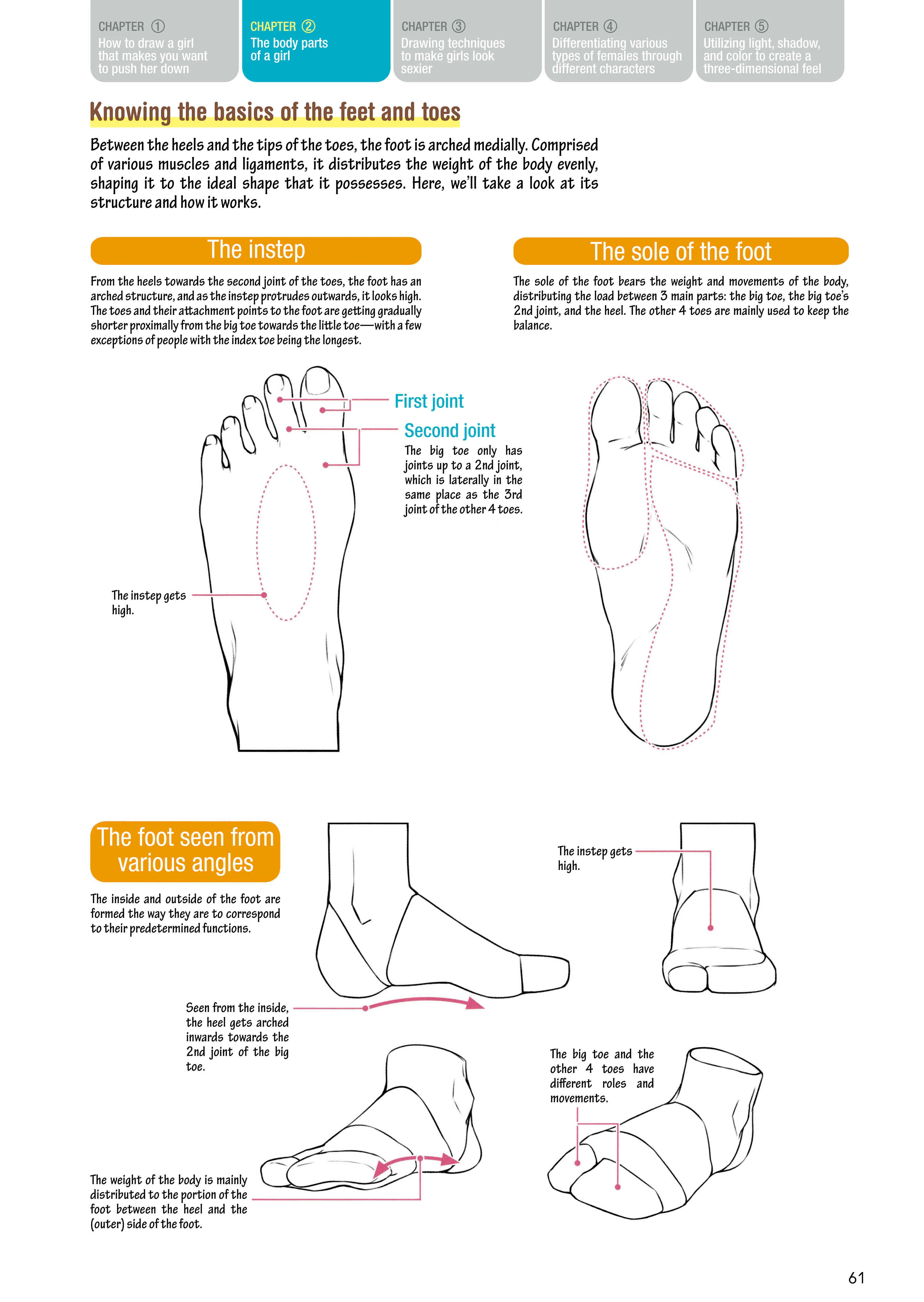 How to Draw a (Slightly) Sexy Girl Chapter 2: The Body Parts of A Girl. - Page 35