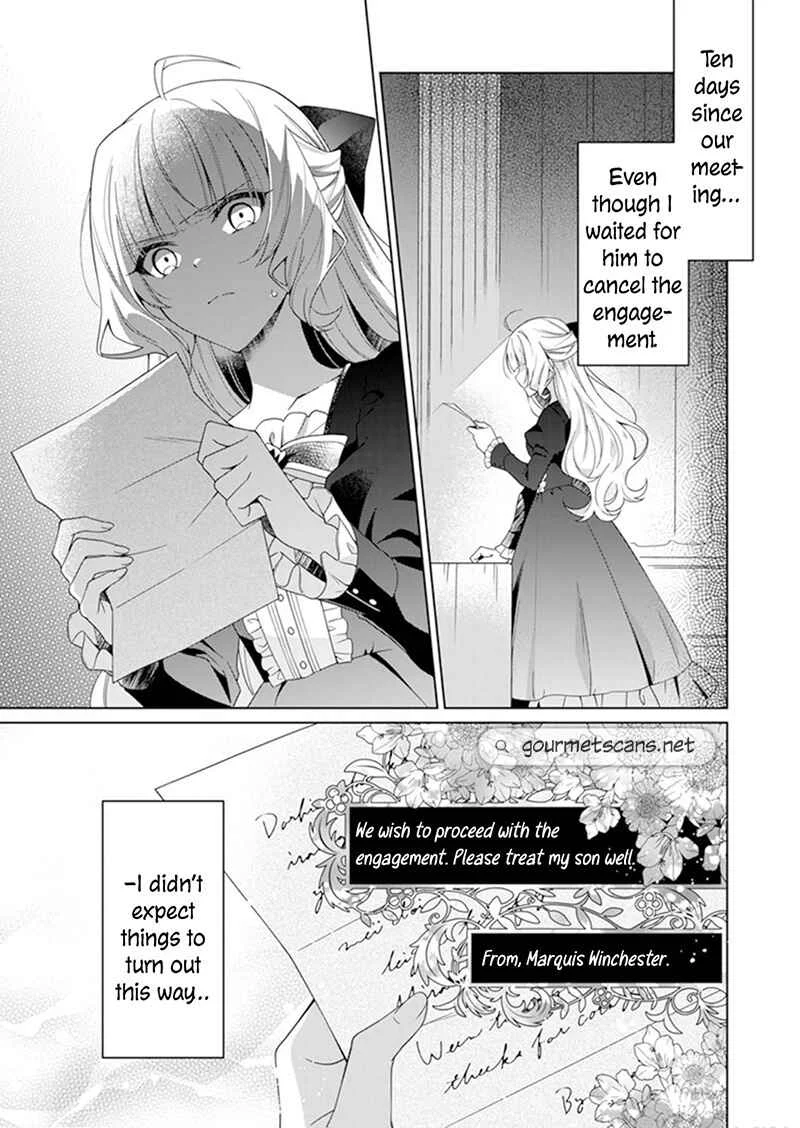 Itoshi no Ano Kata to Shiniwakarete Sennen: Kyou mo Watashi wa Akuyaku Reijou o Enjimasu Chapter 2 - Page 28